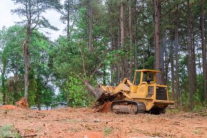 land-clearing-300x200 Blog